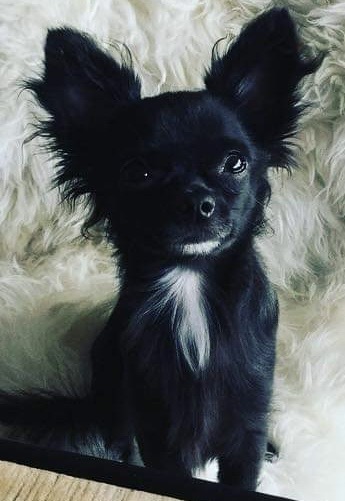 Chill Profile